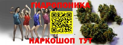 гашик Бугуруслан