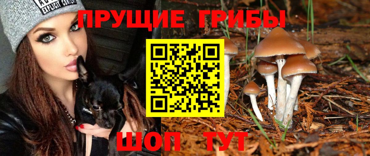 Галлюциногенные грибы GOLDEN TEACHER Калач-на-Дону